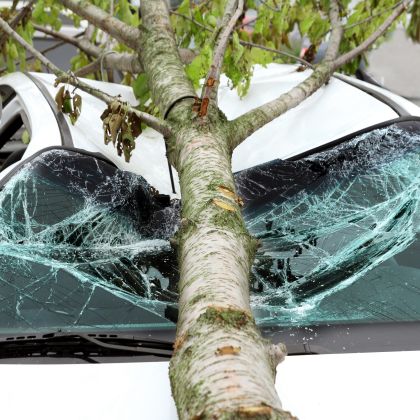 damaged car